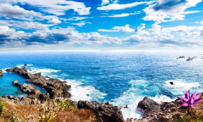 What Is the Cheapest Month to Visit Tenerife? Travel on a Budget (2025)