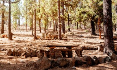 Can You Sleep Anywhere in a Campervan in Tenerife? The Truth About Overnight Parking (2025)