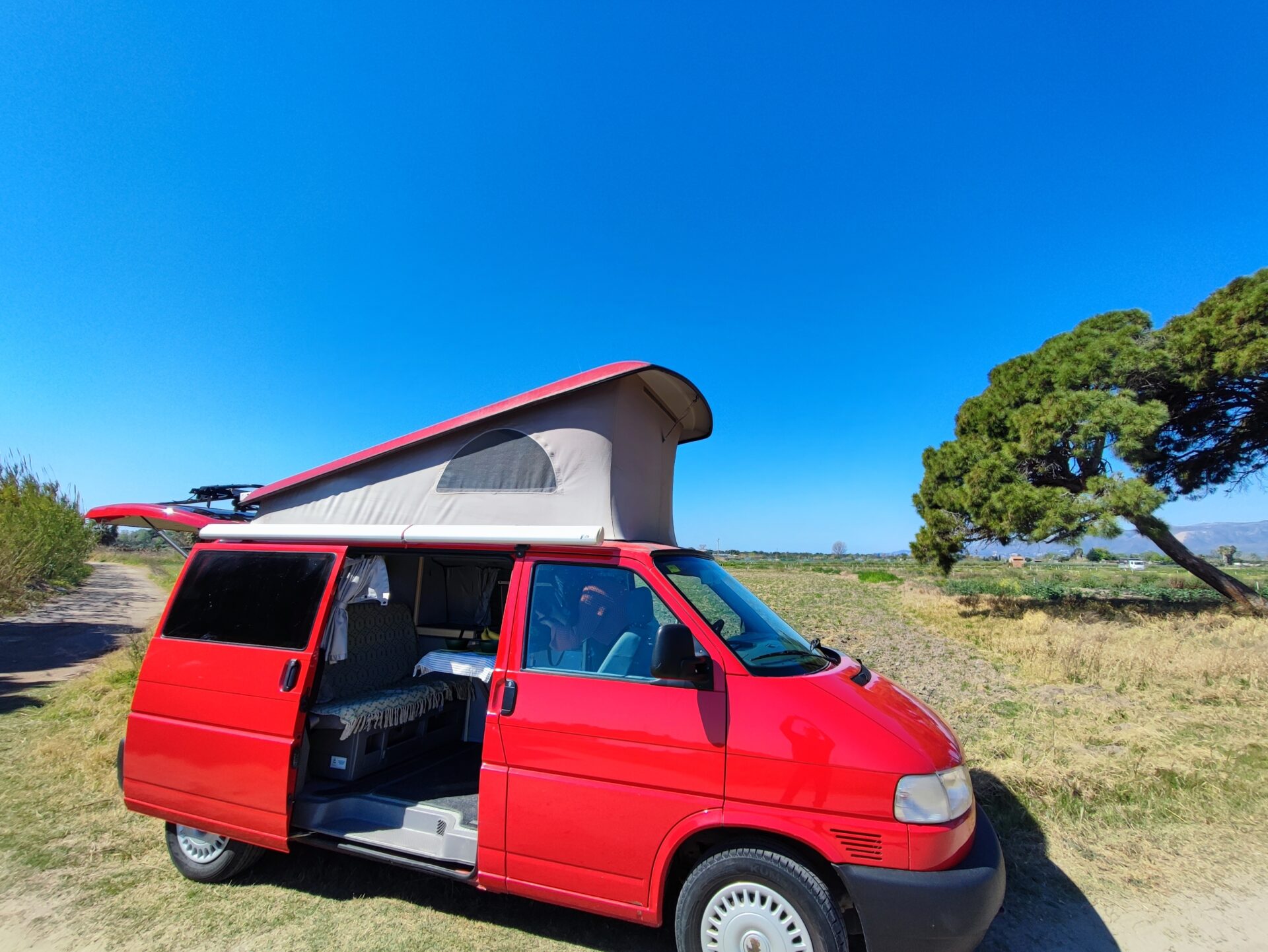 California Wings - Image 10