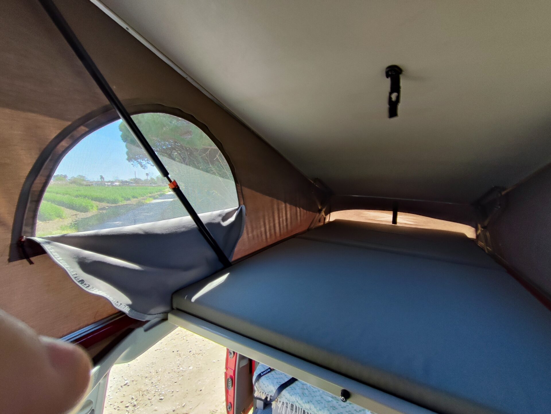 California Wings - Image 2